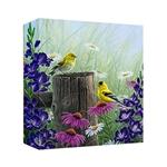Goldfinch Meadow by Abraham Hunter - Gallery Wrap