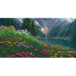 Alpine Meadow by Mark Keathley