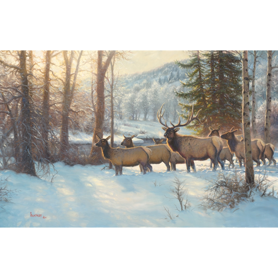 Morning Silence by Mark Keathley