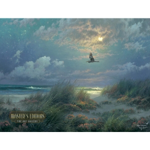 Night Flight by Abraham Hunter
