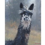 Smiley Jane Alpaca by Mark Keathley