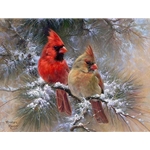 Cardinals in Evergreen by Abraham Hunter