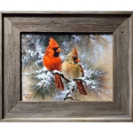 Cardinals in Evergreen Mini 9x12 by Abraham Hunter