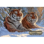 Tigers at Rest by Abraham Hunter - 12x18 Signed & Numbered Exclusive
